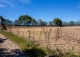 Mallorca. Gran finca en venta. Antigua Possessió, Artà