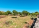 Finca rústica en venta. Excelente ubicación en Capdepera, Mallorca