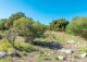 Finca rústica en venta. Excelente ubicación en Capdepera, Mallorca