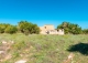 Finca rústica en venta. Excelente ubicación en Capdepera, Mallorca