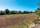 Finca rústica en venta. Excelente ubicación en Capdepera, Mallorca