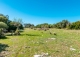 Finca rústica en venta. Excelente ubicación en Capdepera, Mallorca