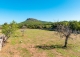 Finca rústica en venta. Excelente ubicación en Capdepera, Mallorca