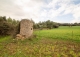 Artà, Mallorca. Gran finca rústica en venta con casa para reformar.