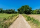 Madrid. Venta finca agrícola de regadío. San Fernando de Henares.