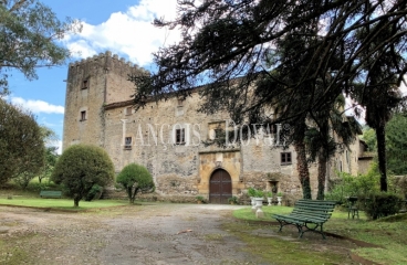 Asturias. Casa palacio en venta siglo XVI. Concejo de Salas. 