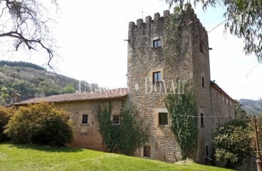 Asturias. Casa palacio en venta siglo XVI. Concejo de Salas. 
