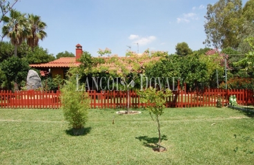 Carmona Sevilla Finca en venta 