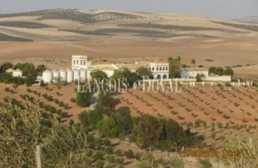 Puebla de Cazalla. Sevilla Cortijo y finca en venta