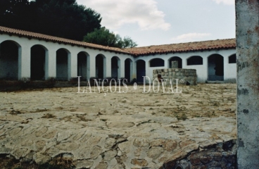 Ávila. Sierra de Gredos. Castilla León. Finca en venta.