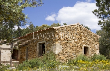 Santa Ana la Real. Huelva. Finca en venta con proyecto de turismo rural.