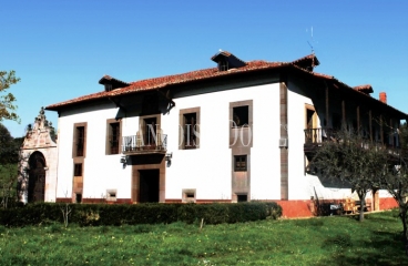 Parroquia de Santa María de Bayo, Concejo de Grado. Asturias. Casa Palacio en venta.