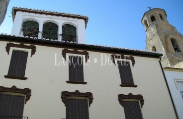 Guadahortuna. Granada. Casa señorial y olivar en venta