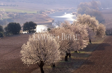 Fincas rústicas en la Alcarria, espacios para el descanso.