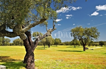 Extremadura. Fincas, dehesas y casas rurales en venta