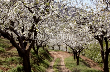 Extremadura hoteles rurales en venta.