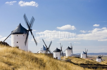 Fincas singulares en venta. Toledo. Castilla La Mancha