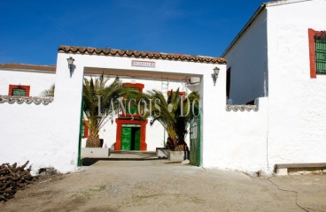 Sierra Morena. Dehesa con cortijo en venta. Finca de caza mayor y menor. Vilches. Jaén.