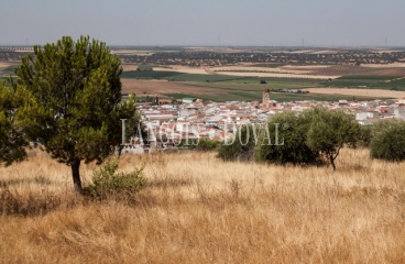 Badajoz. Mérida. Finca y hotel rural restaurante en venta. Arroyo de San Serván.