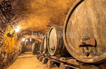 Bodegas y viñedos en venta en la Ribera Del Duero.