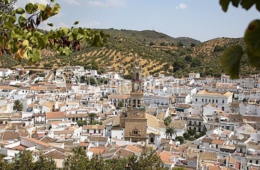 Sierra Norte de Sevilla. Hotel rural en venta. Constantina.