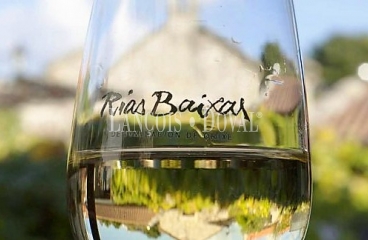 Rías Baixas. Venta bodega y viñedos ecológicos variedad Albariño.