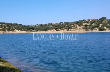 Badajoz. Dehesa ganadera en venta a orillas del embalse de Orellana.