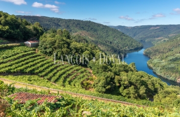 Orense. Edificio de apartamentos turísticos en venta. Ribeira Sacra