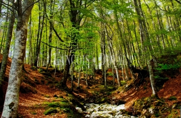 Campoo.  Los Valles. Complejo turístico rural en venta en Cantabria por jubilación