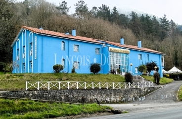 Hotel con encanto en venta Cangas de Onís, Asturias. Picos de Europa