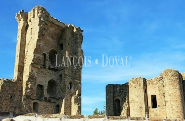  Toledo. Polán. Alojamiento turístico en venta con alta rentabilidad junto a Puy du Fou España