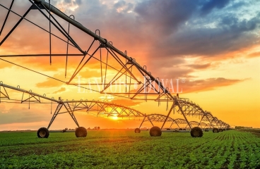 Castilla León. Empresa de Servicios Agrícolas en Venta