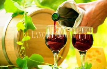 Bodega y Viñedos en venta en la Ribera del Duero | Inversión estratégica en una de las grandes denominaciones de origen de España