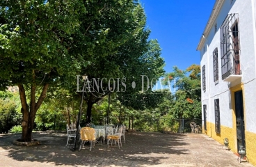 Finca olivar y cortijo en venta en La Sierra del Segura. Jaén. 