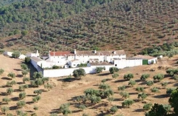 Sierra Morena. Córdoba. Finca de olivar y ocio con gran Hacienda en venta