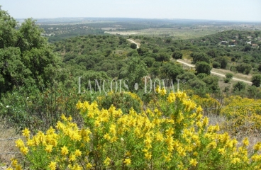 Madrid. Finca de recreo y caza en venta