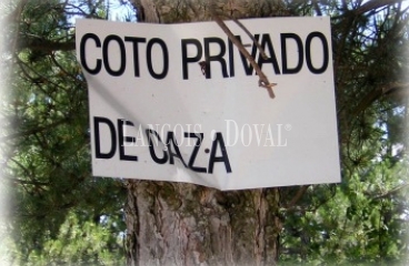 Provincia de Alicante Finca caza menor en venta