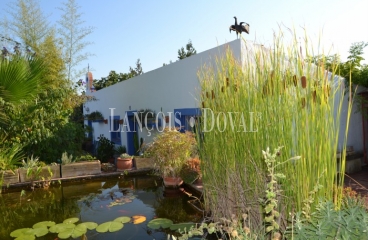 Aznalcázar. Sevilla Finca en venta.