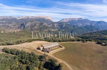 Huesca. Coto de caza mayor en venta. Finca forestal y agrícola.