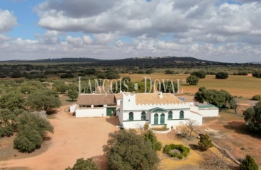 Albacete. Finca en venta. Coto de caza menor y agrícola. 