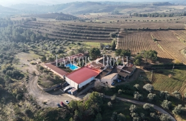 Priorat. Finca histórica en venta destinada a hotel con viñedos y bodegas