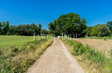 Madrid. Venta finca agrícola de regadío. San Fernando de Henares.