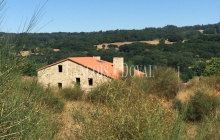 Finca y conjunto casas rurales en venta. Silleda. Pontevedra.