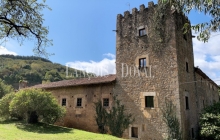Asturias. Palacio de Doriga en venta. 