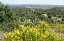 Madrid. Finca de recreo y caza en venta